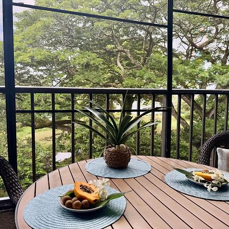 Ocean View Mauna Loa Shores Kai Ekahi #201 Next To Carlsmith Beach Park Hilo Hi ภายนอก รูปภาพ