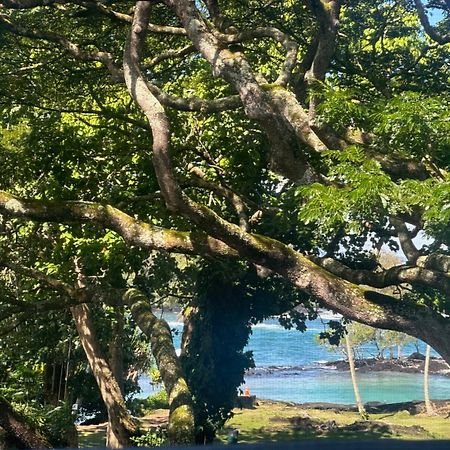 Ocean View Mauna Loa Shores Kai Ekahi #201 Next To Carlsmith Beach Park Hilo Hi ภายนอก รูปภาพ