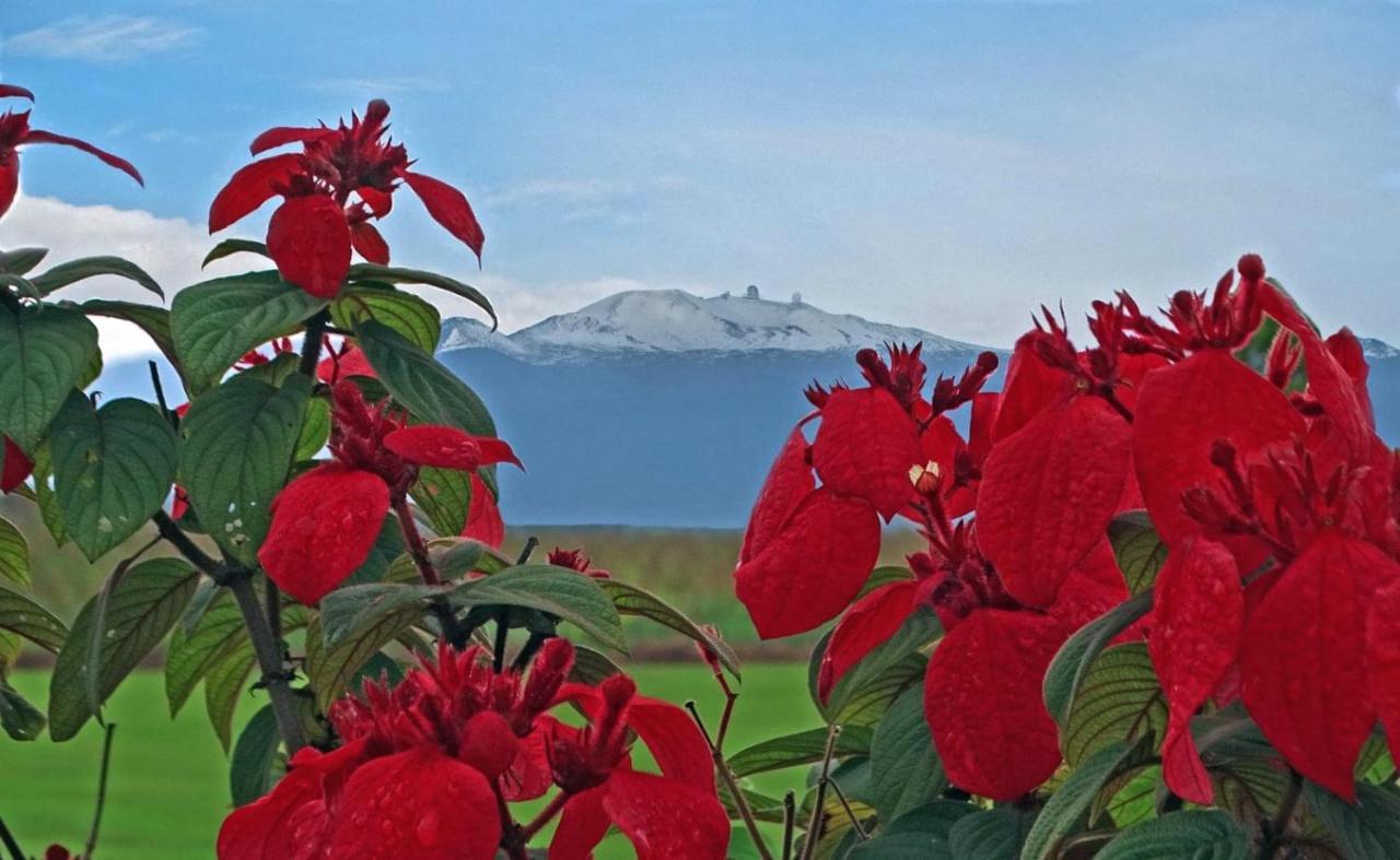 Ocean View Mauna Loa Shores Kai Ekahi #201 Next To Carlsmith Beach Park Hilo Hi ภายนอก รูปภาพ