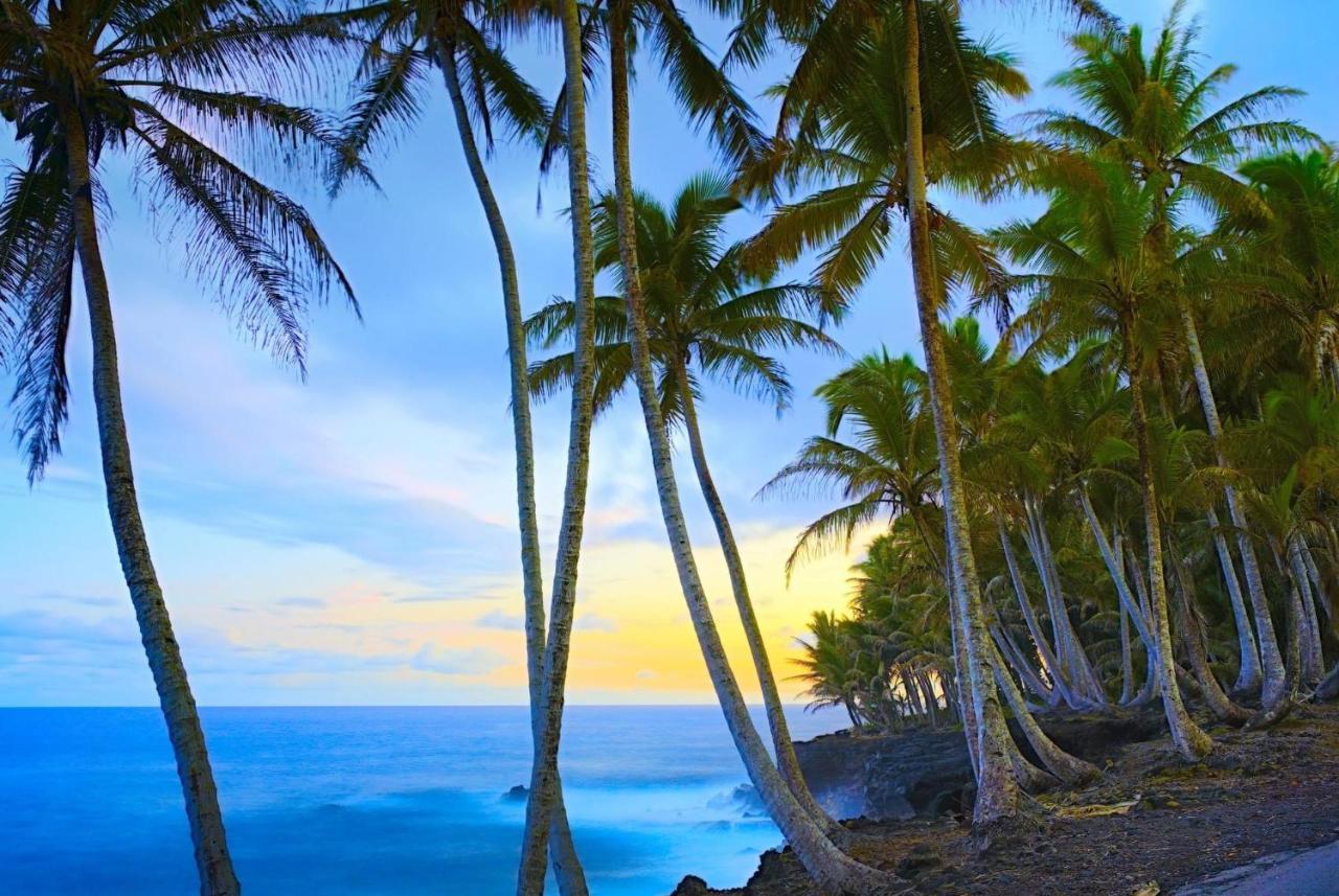 Ocean View Mauna Loa Shores Kai Ekahi #201 Next To Carlsmith Beach Park Hilo Hi ภายนอก รูปภาพ
