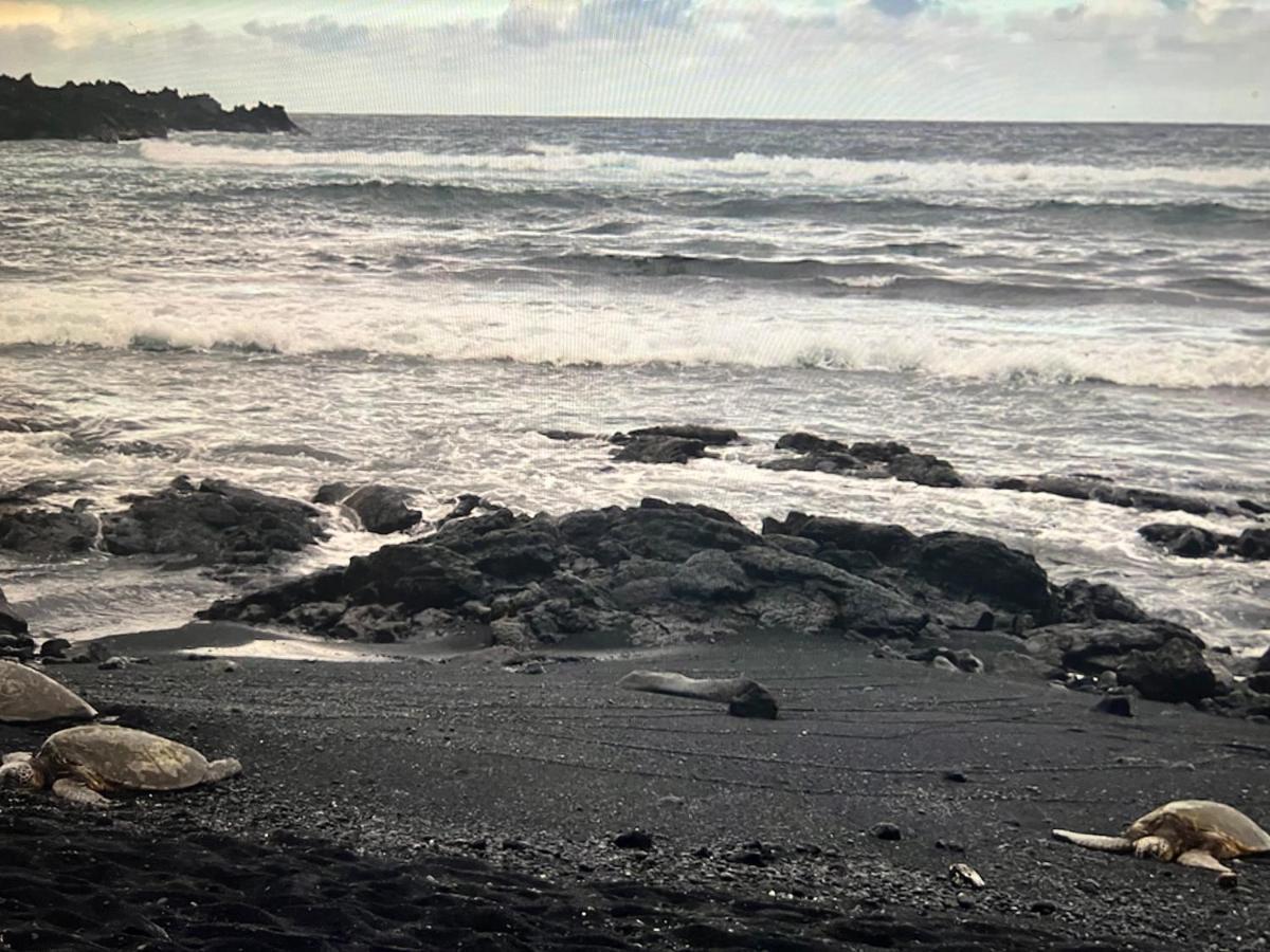 Ocean View Mauna Loa Shores Kai Ekahi #201 Next To Carlsmith Beach Park Hilo Hi ภายนอก รูปภาพ