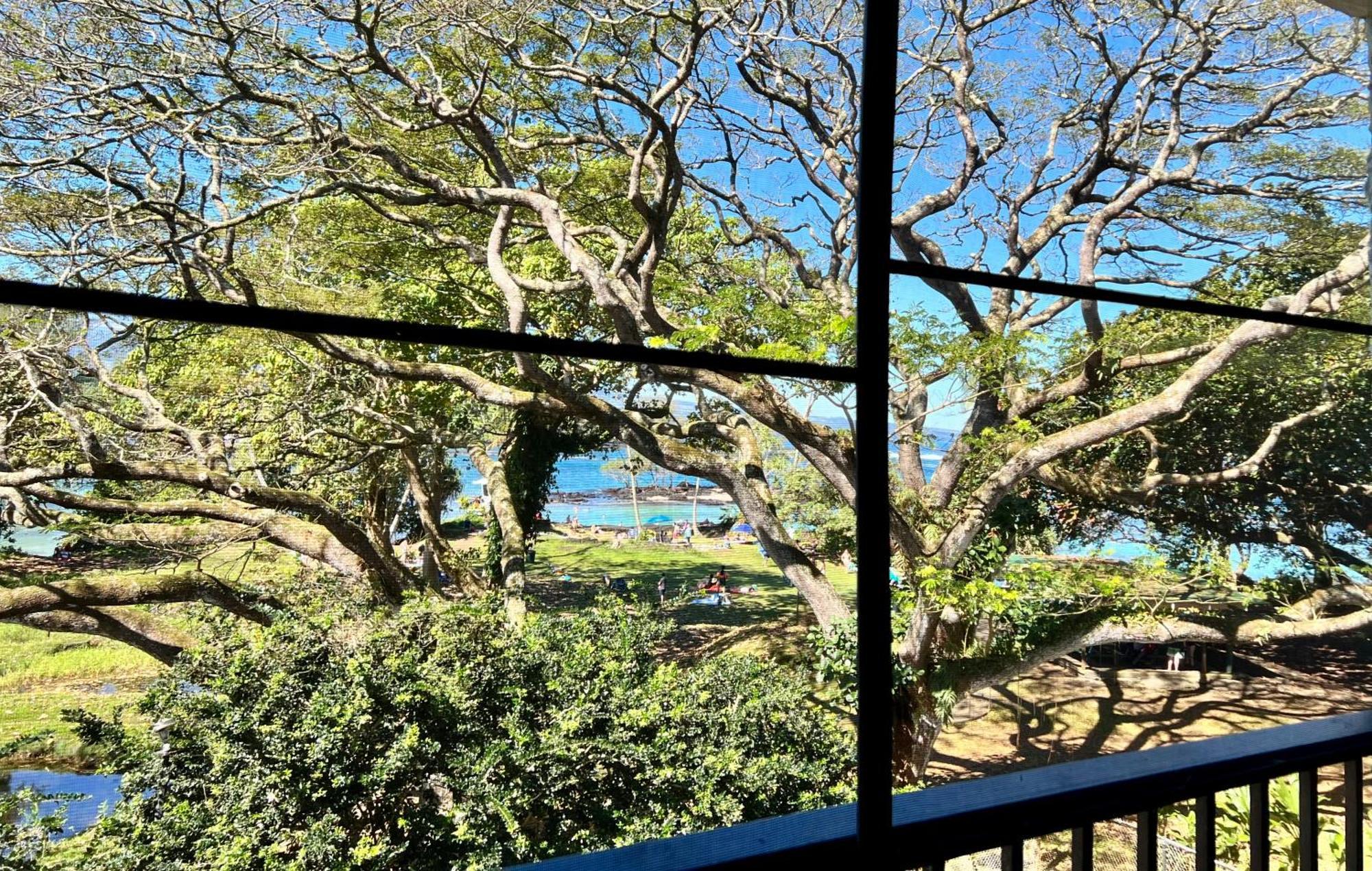 Ocean View Mauna Loa Shores Kai Ekahi #201 Next To Carlsmith Beach Park Hilo Hi ภายนอก รูปภาพ