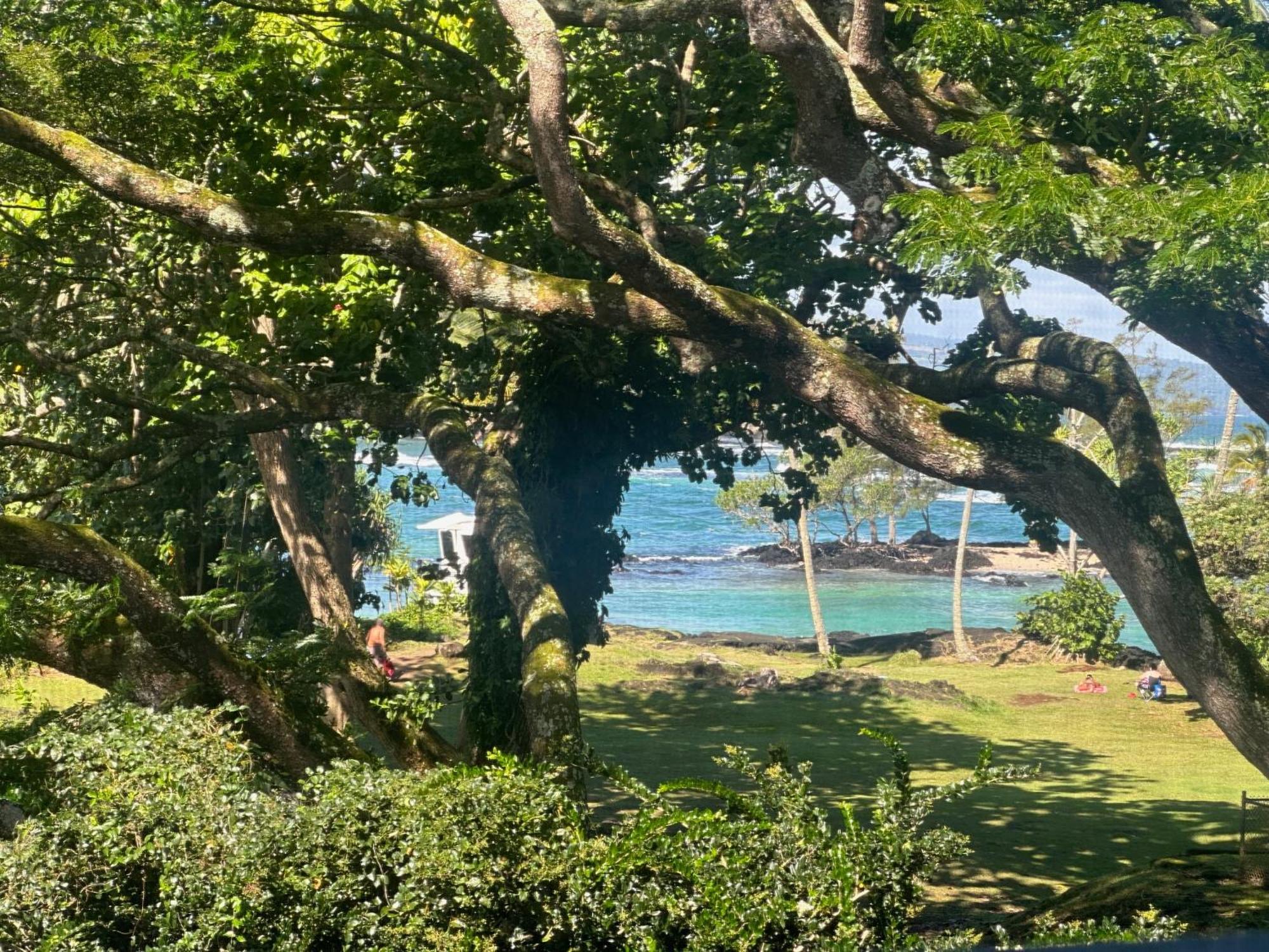 Ocean View Mauna Loa Shores Kai Ekahi #201 Next To Carlsmith Beach Park Hilo Hi ภายนอก รูปภาพ