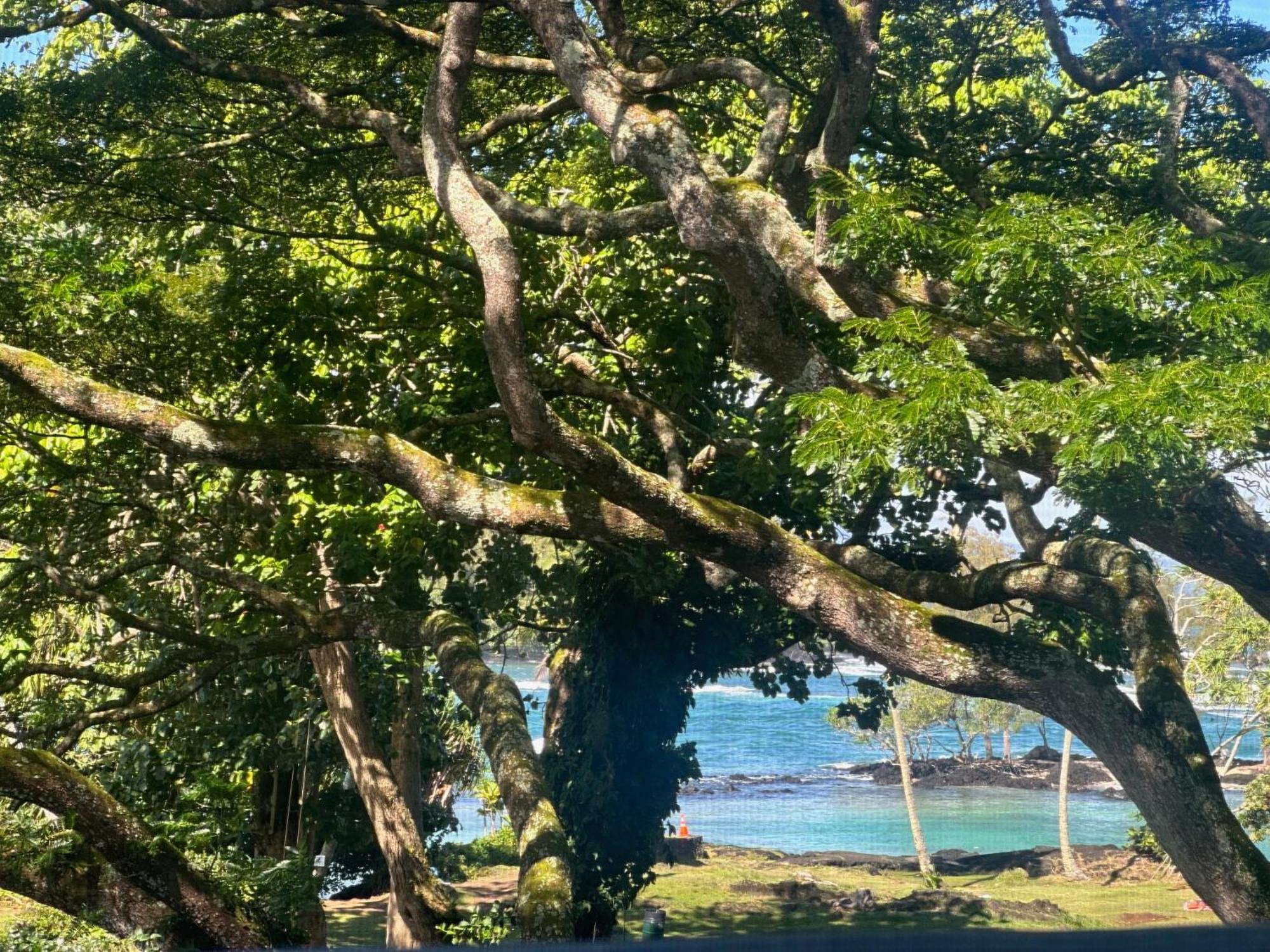 Ocean View Mauna Loa Shores Kai Ekahi #201 Next To Carlsmith Beach Park Hilo Hi ภายนอก รูปภาพ